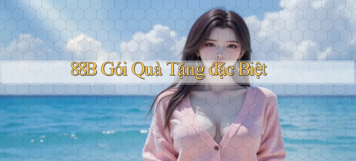 88b  gói quà tặng đặc biệt