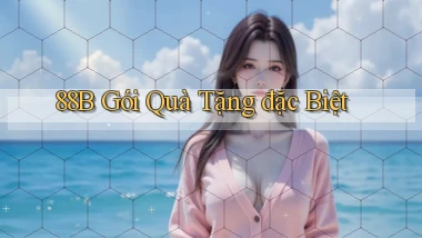 88b  gói quà tặng đặc biệt