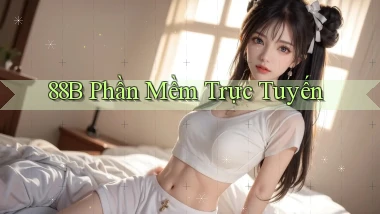 88b Phần mềm trực tuyến