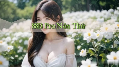 88b pro nên thử