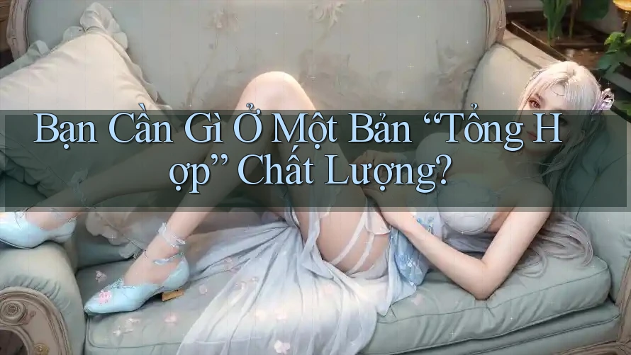 Bạn Cần Gì Ở Một Bản “Tổng Hợp” Chất Lượng? Bạn Cần Gì Ở Một Bản “Tổng Hợp” Chất Lượng?