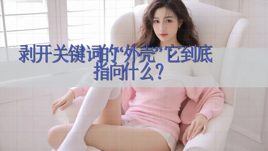 剥开关键词的“外壳”:它到底指向什么? 剥开关键词的“外壳”:它到底指向什么?