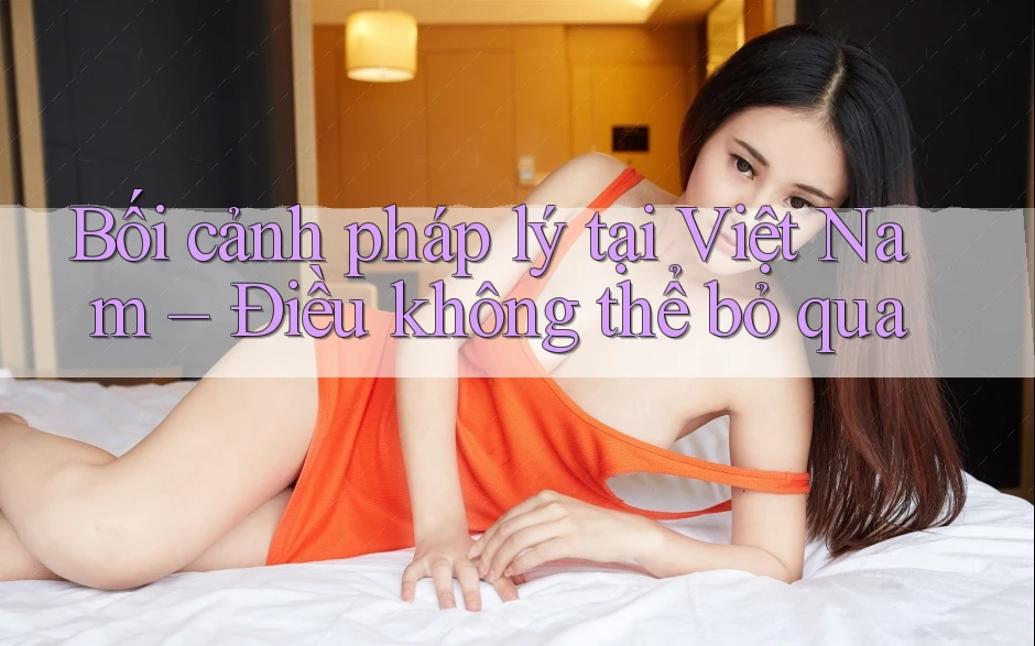 Bối cảnh pháp lý tại Việt Nam – Điều không thể bỏ qua Bối cảnh pháp lý tại Việt Nam – Điều không thể bỏ qua