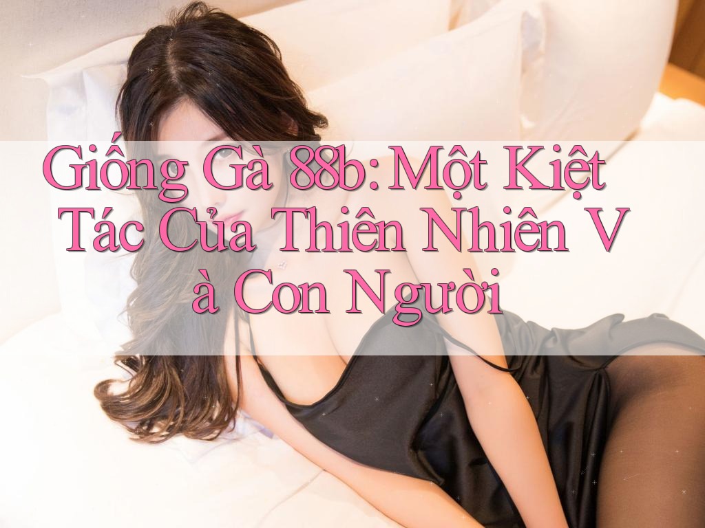 Giống Gà 88b: Một Kiệt Tác Của Thiên Nhiên Và Con Người Giống Gà 88b: Một Kiệt Tác Của Thiên Nhiên Và Con Người