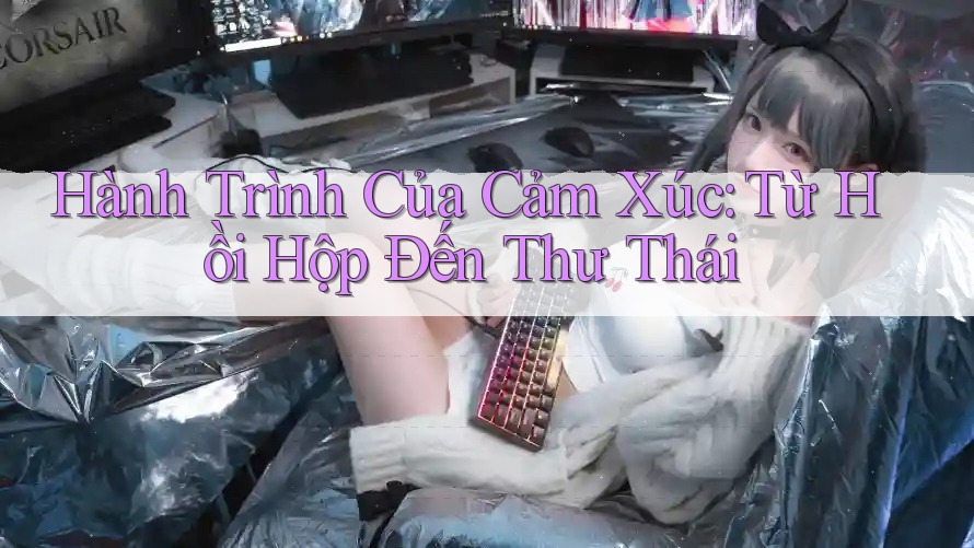 Hành Trình Của Cảm Xúc: Từ Hồi Hộp Đến Thư Thái Hành Trình Của Cảm Xúc: Từ Hồi Hộp Đến Thư Thái