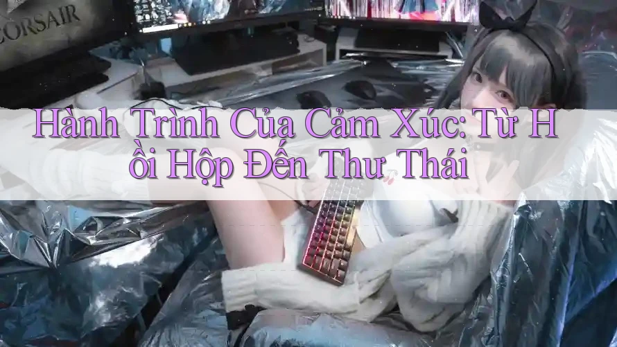 Hành Trình Của Cảm Xúc: Từ Hồi Hộp Đến Thư Thái Hành Trình Của Cảm Xúc: Từ Hồi Hộp Đến Thư Thái