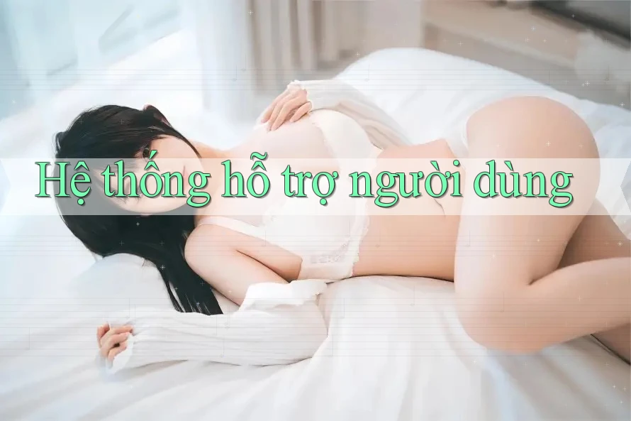 Hệ thống hỗ trợ người dùng