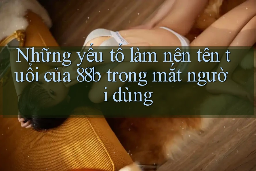Những yếu tố làm nên tên tuổi của 88b trong mắt người dùng