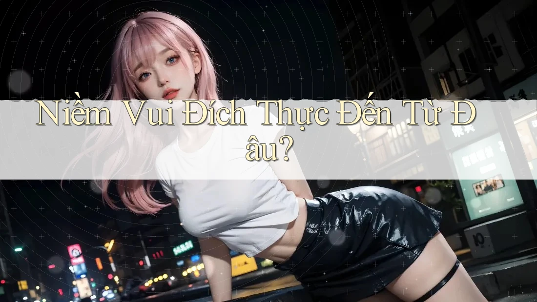 Niềm Vui Đích Thực Đến Từ Đâu? Niềm Vui Đích Thực Đến Từ Đâu?