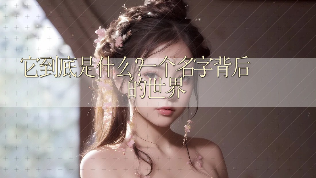 它到底是什么?一个名字背后的世界 它到底是什么?一个名字背后的世界