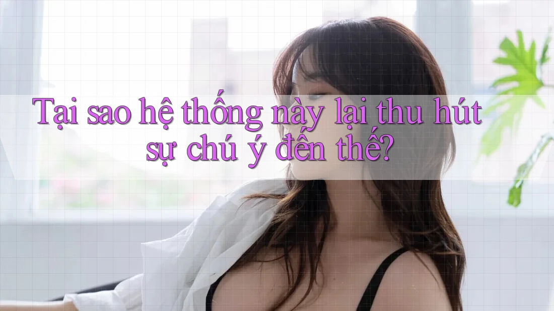 Tại sao hệ thống này lại thu hút sự chú ý đến thế? Tại sao hệ thống này lại thu hút sự chú ý đến thế?