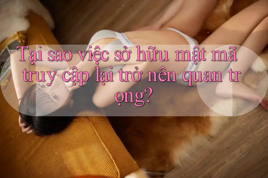 Tại sao việc sở hữu mật mã truy cập lại trở nên quan trọng? Tại sao việc sở hữu mật mã truy cập lại trở nên quan trọng?