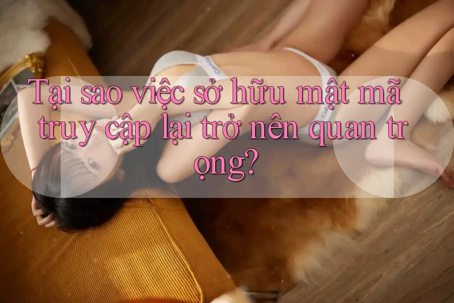 Tại sao việc sở hữu mật mã truy cập lại trở nên quan trọng? Tại sao việc sở hữu mật mã truy cập lại trở nên quan trọng?
