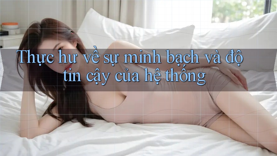 Thực hư về sự minh bạch và độ tin cậy của hệ thống